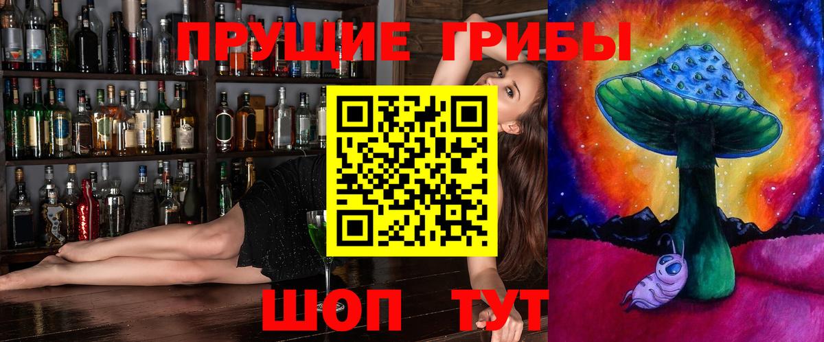Псилоцибиновые грибы Psilocybine cubensis Луга