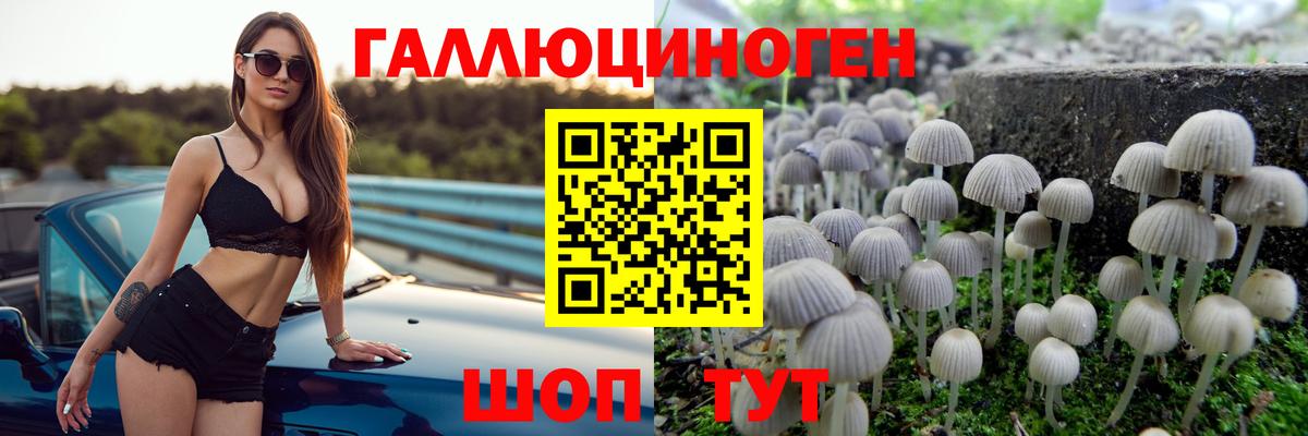 Псилоцибиновые грибы Cubensis  Галлюциногенные грибы Magic Shrooms  Луга  Вход с VPN 