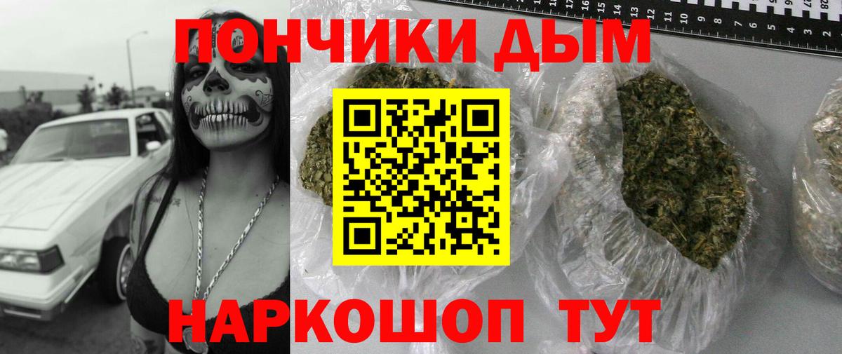 Каннабис планчик Луга